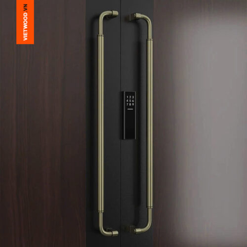 TAY NẮM CỬA ĐẠI SẢNH SALeLUCE - V6